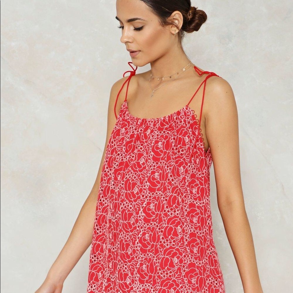 Nasty Gal x Petal or Nothing embroidered dress